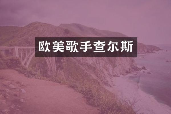 欧美歌手查尔斯