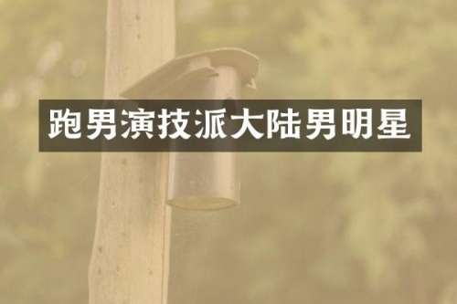 跑男演技派大陆男明星