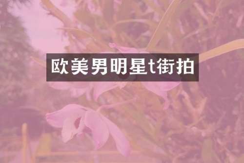 欧美男明星t街拍