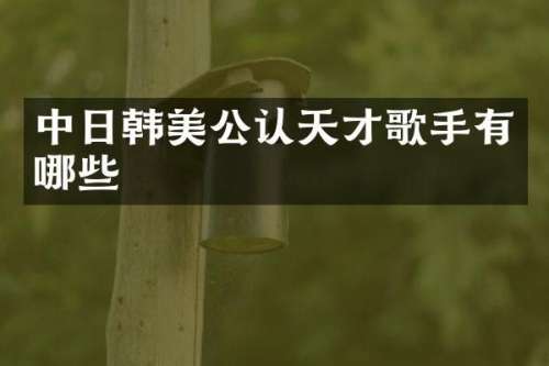 中日韩美公认天才歌手有哪些