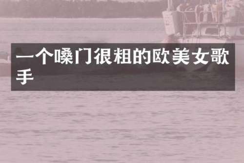 一个嗓门很粗的欧歌手