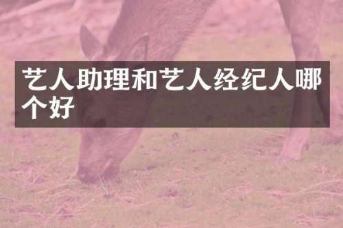 艺人助理和艺人经纪人哪个好