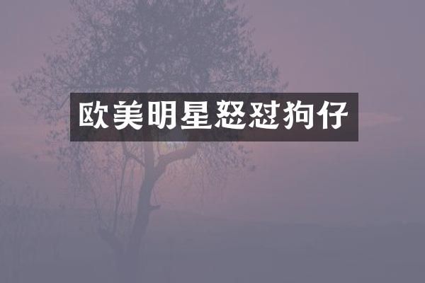 欧美明星怒怼狗仔