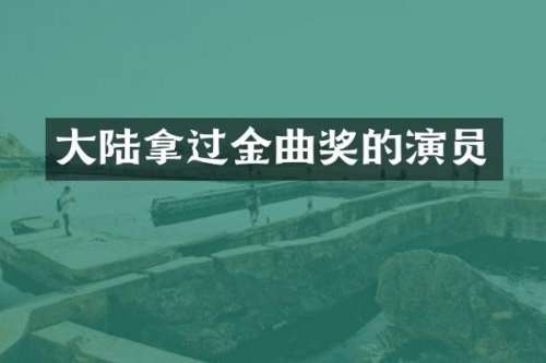 大陆拿过金曲奖的演员