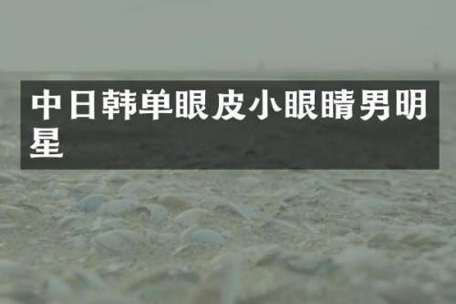 中日韩单眼皮小眼睛男明星