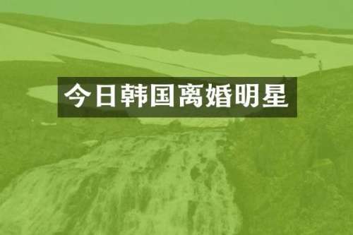 今日韩国离婚明星