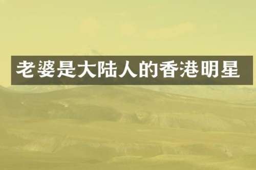 老婆是大陆人的香港明星