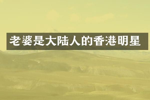 老婆是大陆人的香港明星
