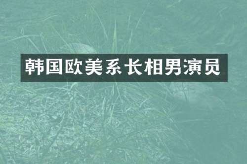 韩国欧美系长相男演员