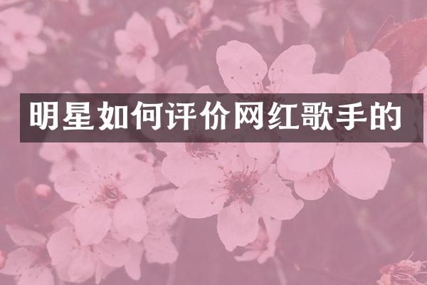 明星如何评价网红歌手的