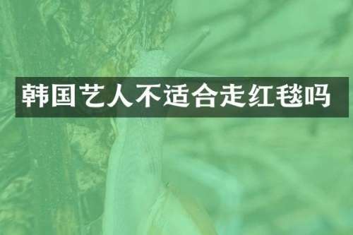韩国艺人不适合走红毯吗