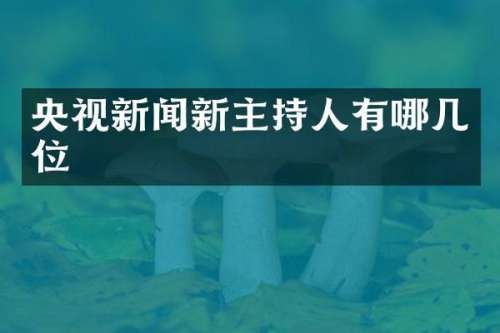 央视新闻新主持人有哪几位