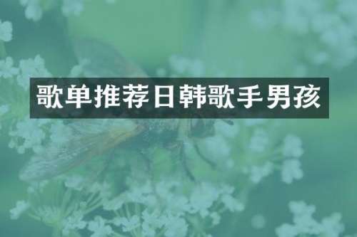 歌单推荐日韩歌手男孩