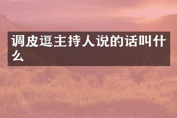 调皮逗主持人说的话叫什么
