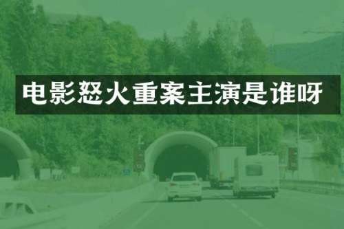 电影怒火重案主演是谁呀