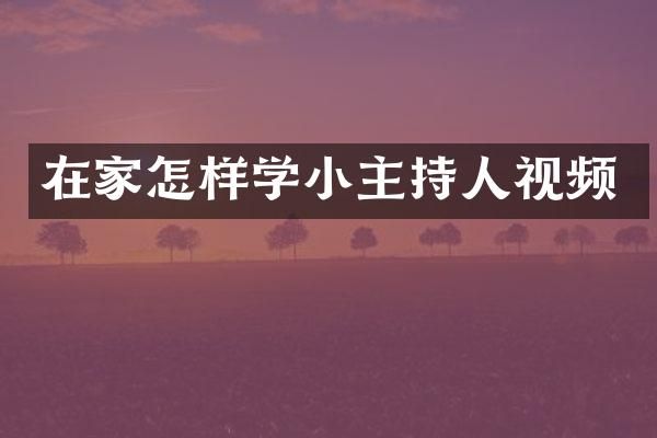 在家怎样学小主持人视频