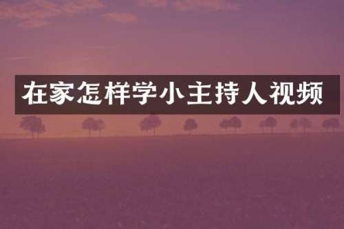 在家怎样学小主持人视频