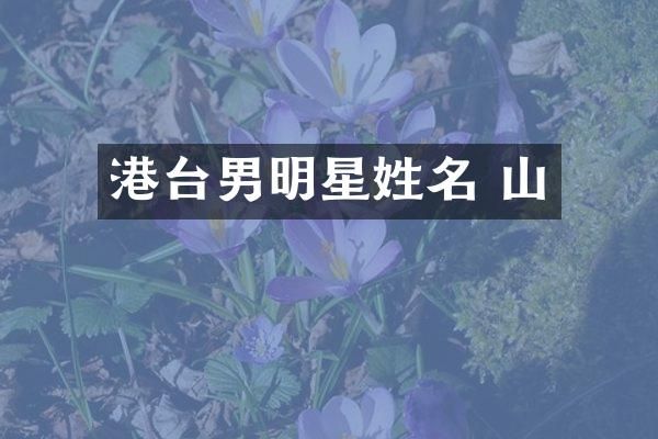 港台男明星姓名 山
