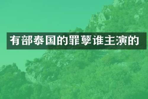 有部泰国的罪孽谁主演的