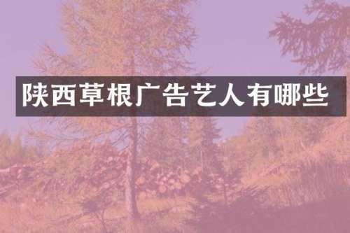 陕西草根广告艺人有哪些