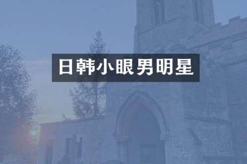 日韩小眼男明星