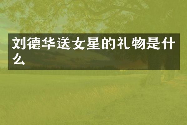 刘德华送女星的礼物是什么
