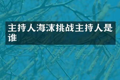 主持人海沫挑战主持人是谁