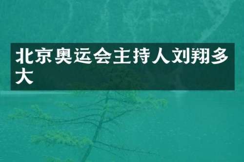 北京奥运会主持人刘翔多大