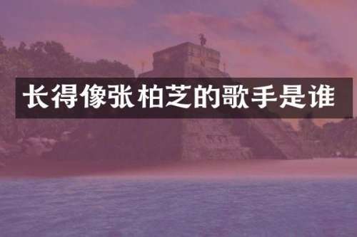 长得像张柏芝的歌手是谁