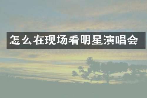 怎么在现场看明星演唱会