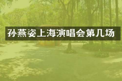 孙燕姿上海演唱会第几场