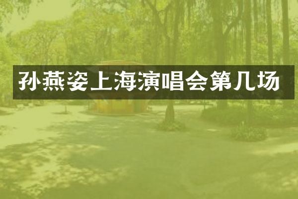 孙燕姿上海演唱会第几场