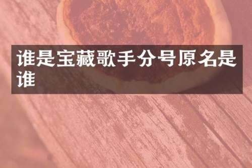 谁是宝藏歌手分号原名是谁