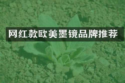 网红款欧美墨镜品牌推荐