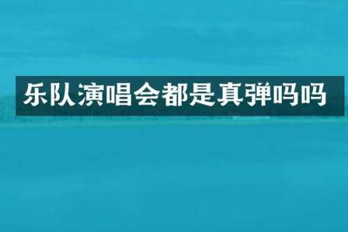 乐队演唱会都是真弹吗吗