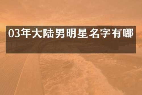 03年大陆男明星名字有哪些