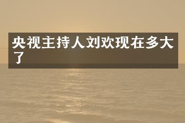央视主持人刘欢现在多大了