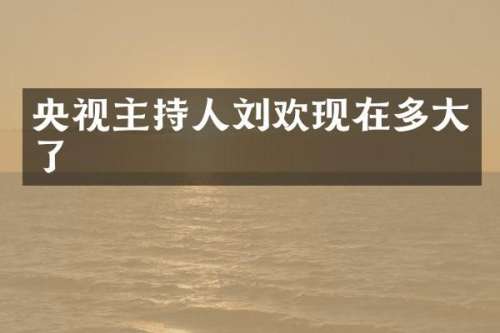 央视主持人刘欢现在多大了