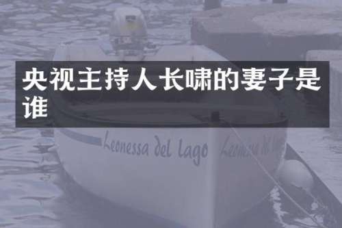 央视主持人长啸的妻子是谁