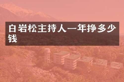 白岩松主持人一年挣多少钱