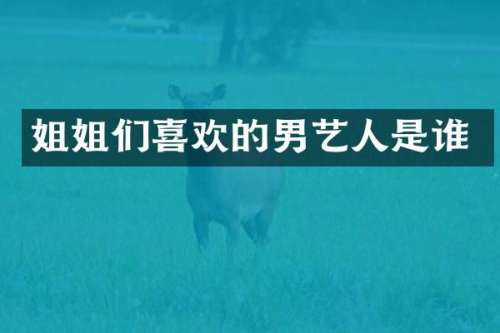 姐姐们喜欢的男艺人是谁