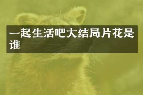 一起生活吧大结局片花是谁
