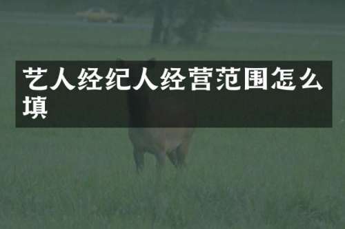 艺人经纪人经营范围怎么填