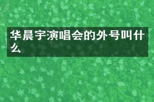 华晨宇演唱会的外号叫什么