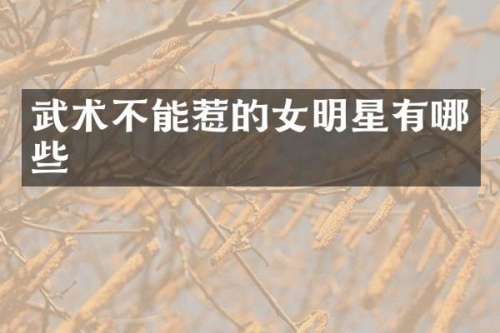 武术不能惹的女明星有哪些