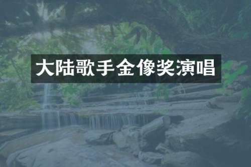 大陆歌手金像奖演唱