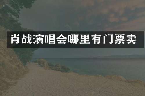 肖战演唱会哪里有门票卖