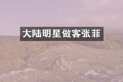 大陆明星做客张菲