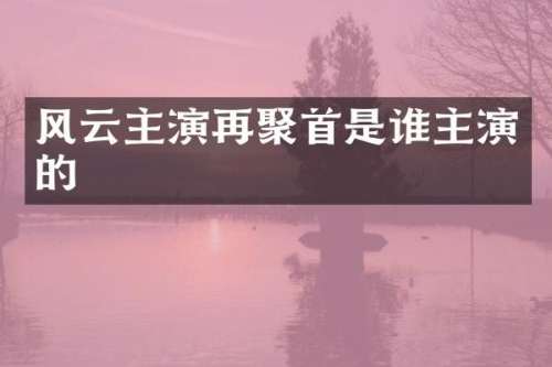 风云主演再聚首是谁主演的