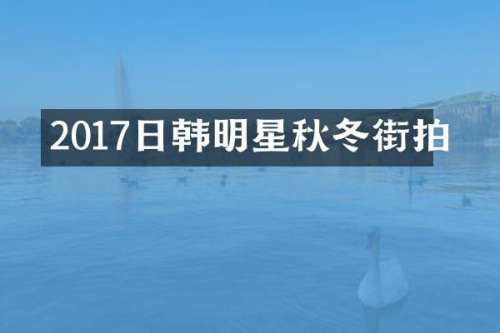 2017日韩明星秋冬街拍